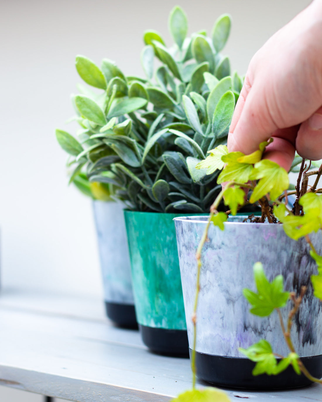 Update 028. A New Hope